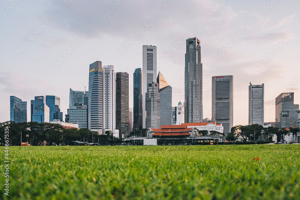 Fototapeta premium Padang playing green field with a low angle of the city skyline featuring financial district, Singapore.