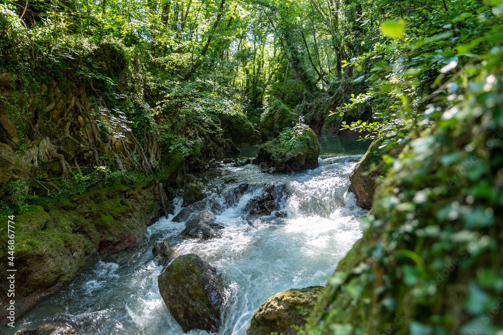 river in the woods coming from the waterfall of the marmore river in the woods coming from the waterfall of the marmore
