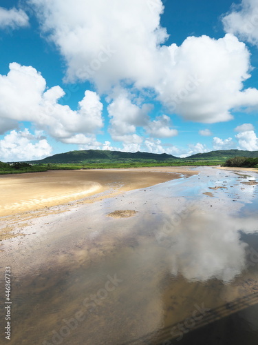 Okinawa,Japan - July 12, 2021: Nagura Anparu, a wetland in Ishigaki Island, Okinawa, Japan
 photo