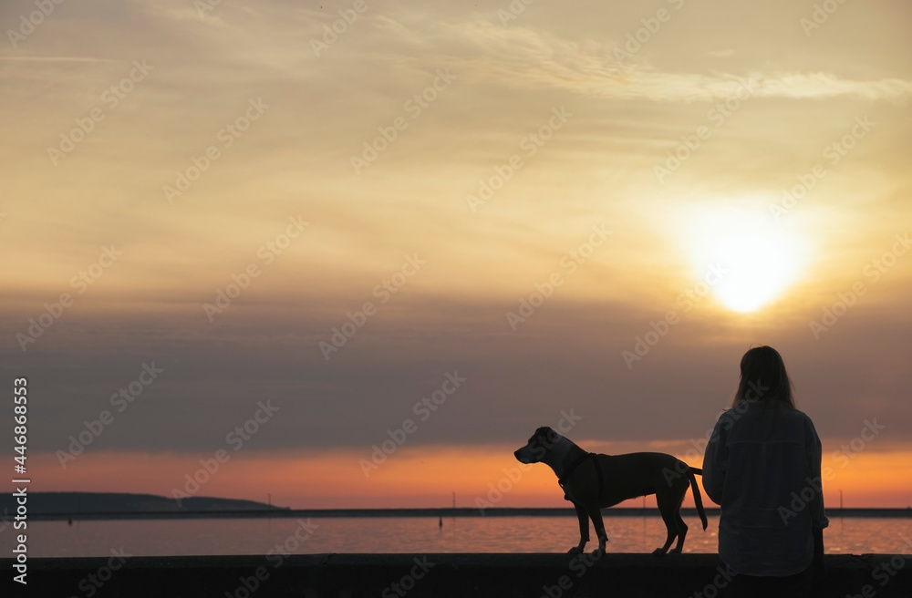 Silhouette of a woman with dog enjoying sunset at the bay area