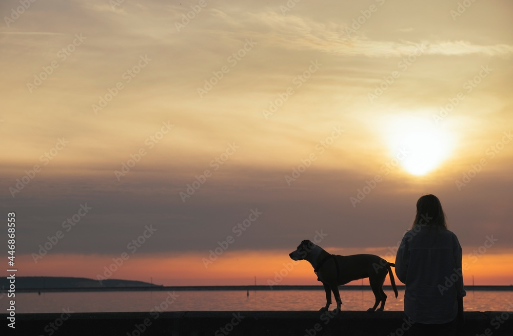 Silhouette of a woman with dog enjoying sunset at the bay area Silhouette of a woman with dog enjoying sunset at the bay area