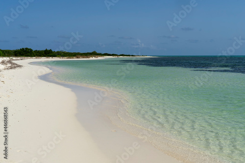Deserted paradise beach with white sand in Mexico photo