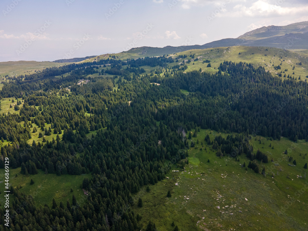 Aerial view of Konyarnika area ar Vitosha Mountain, Bulgaria