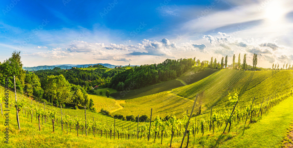 Styrian Tuscany Vineyard panorama in summer day near Eckberg, Gamliz, Styria, Austria