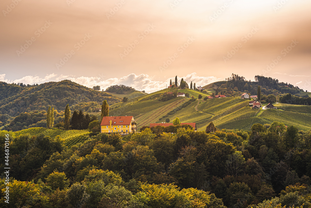Naklejka premium Styrian Tuscany Vineyard in autumn near Eckberg, Gamliz, Styria, Austria