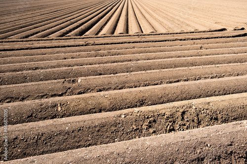 Fotografie Furrows row pattern in a plowed field prepared for planting crops in spring