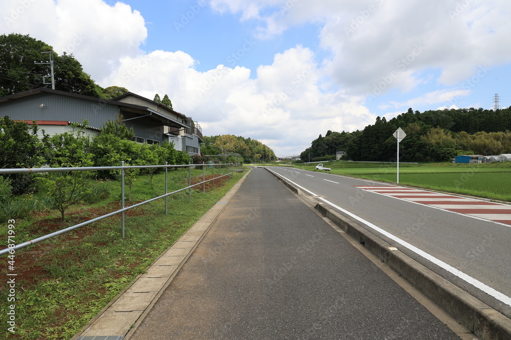 のどかな風景