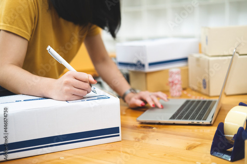 Online Seller and Online Business Concept.