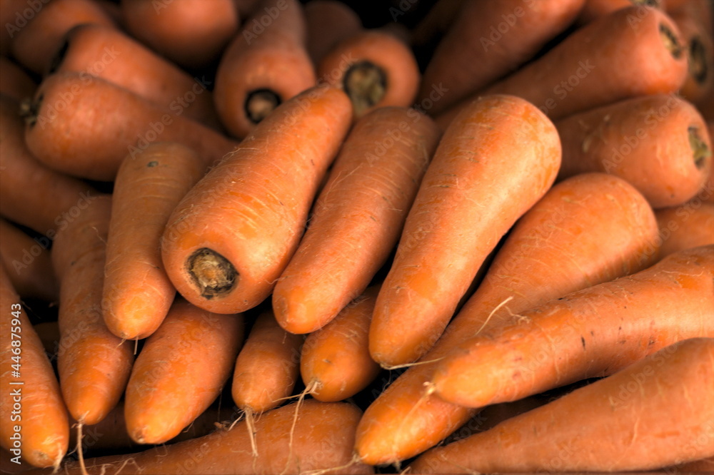 Natural carrot food from the nutritious field Natural carrot food from the nutritious field