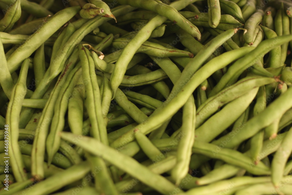 Beans delicious elongated green food
Beans delicious elongated green food