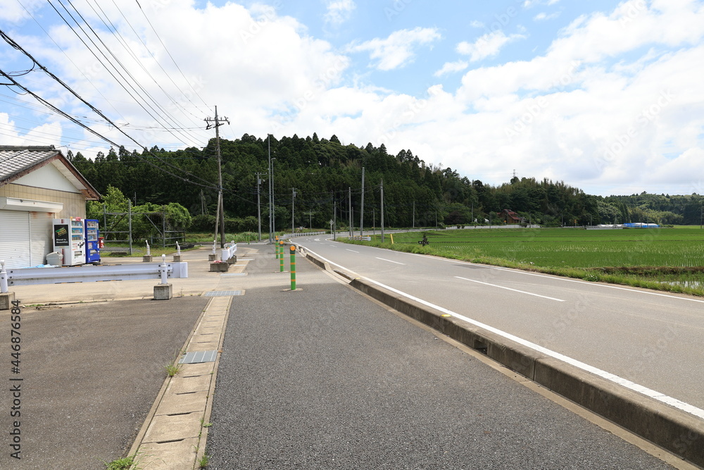 Fototapeta premium のどかな風景