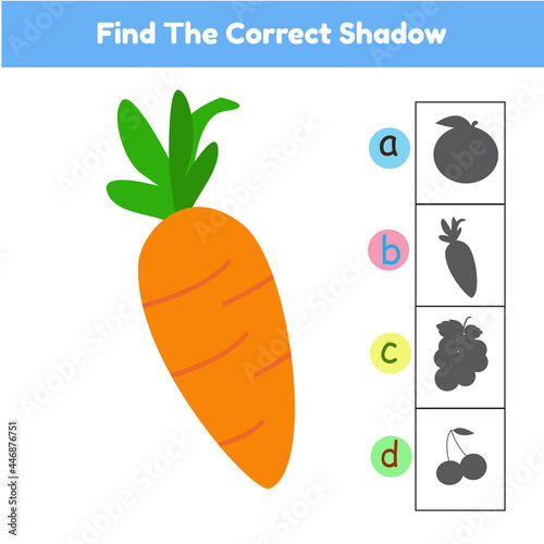  Find the correct shadow carrot.