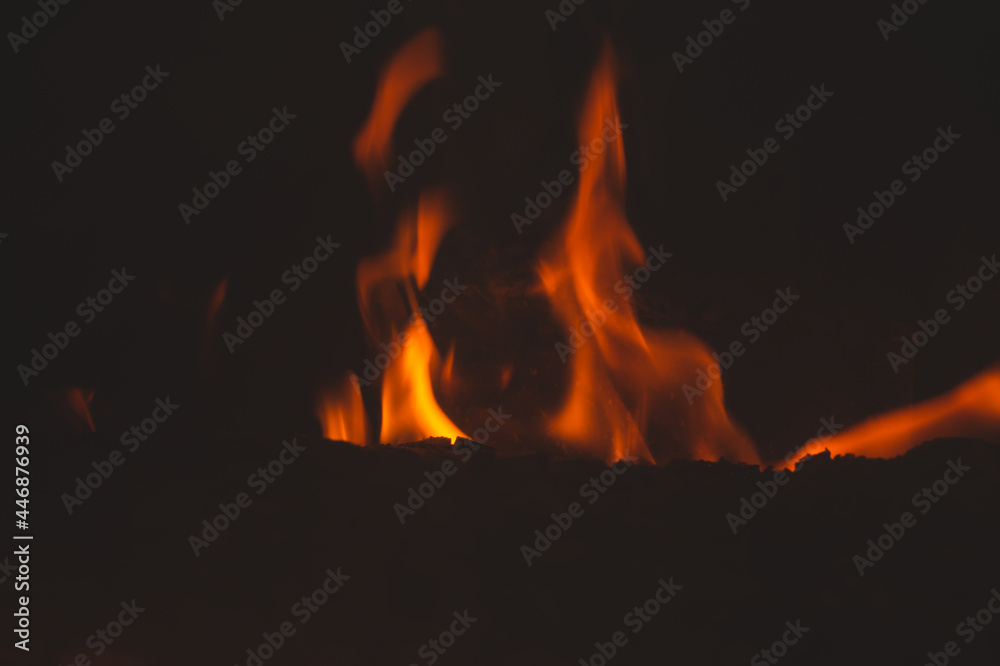 Burning wood in the fireplace. flame in the bonfire Burning wood in the fireplace. flame in the bonfire