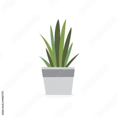 Plant On Pot Image Vector illustration