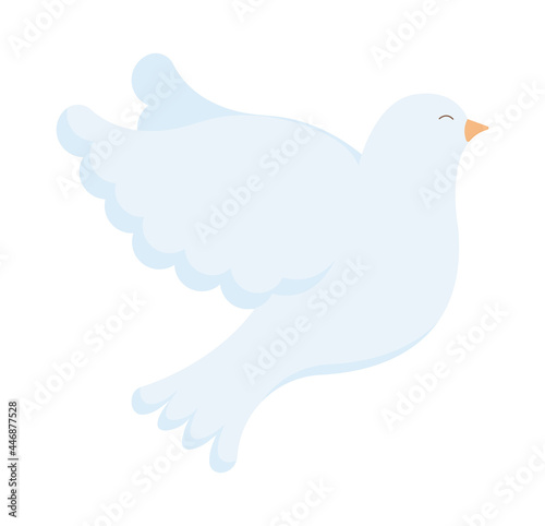 white dove design