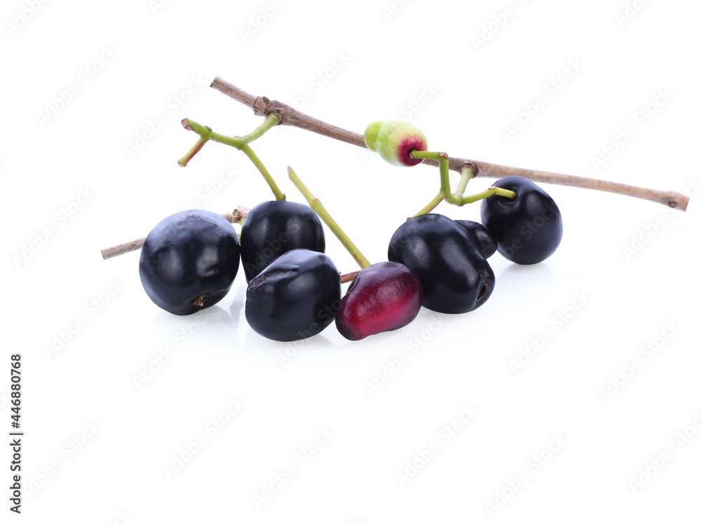 Jambolan plum or Java plum isolated on white background Jambolan plum or Java plum isolated on white background