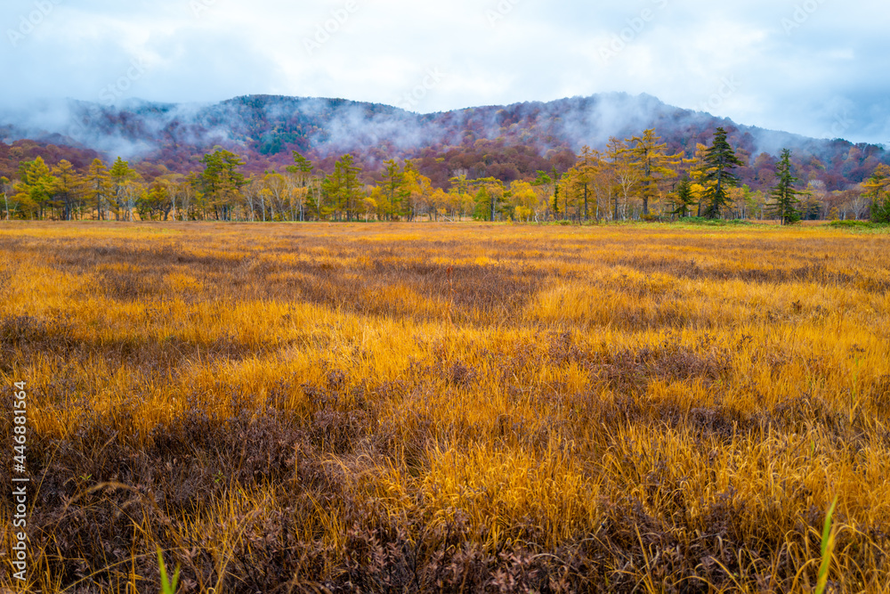 尾瀬ヶ原湿原の紅葉の風景 燧ヶ岳 至仏山 Scenery of autumn leaves in Ozegahara marshland Mt.Hiuchigadake Mt.Shibutsusan 尾瀬ヶ原湿原の紅葉の風景 燧ヶ岳 至仏山 Scenery of autumn leaves in Ozegahara marshland Mt.Hiuchigadake Mt.Shibutsusan