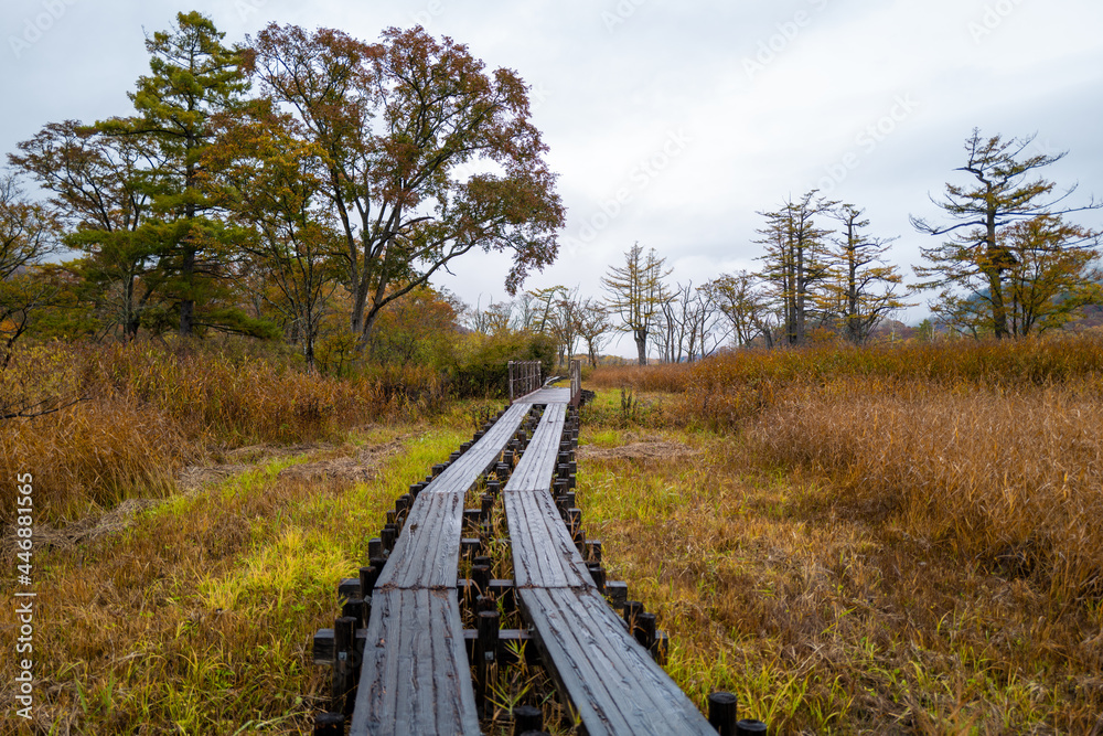 尾瀬ヶ原湿原の紅葉の風景 燧ヶ岳 至仏山 Scenery of autumn leaves in Ozegahara marshland Mt.Hiuchigadake Mt.Shibutsusan 尾瀬ヶ原湿原の紅葉の風景 燧ヶ岳 至仏山 Scenery of autumn leaves in Ozegahara marshland Mt.Hiuchigadake Mt.Shibutsusan