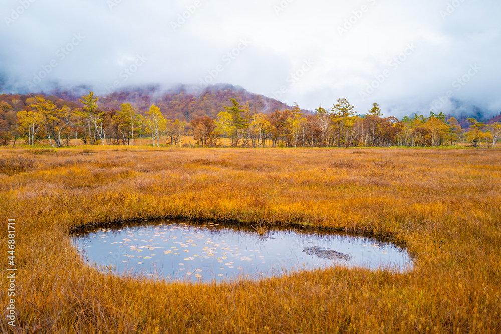 尾瀬ヶ原湿原の紅葉の風景 燧ヶ岳 至仏山 Scenery of autumn leaves in Ozegahara marshland Mt.Hiuchigadake Mt.Shibutsusan 尾瀬ヶ原湿原の紅葉の風景 燧ヶ岳 至仏山 Scenery of autumn leaves in Ozegahara marshland Mt.Hiuchigadake Mt.Shibutsusan