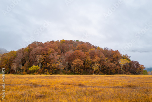 尾瀬ヶ原湿原の紅葉の風景 燧ヶ岳 至仏山 Scenery of autumn leaves in Ozegahara marshland Mt.Hiuchigadake Mt.Shibutsusan