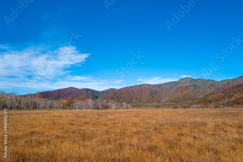 尾瀬ヶ原湿原の紅葉の風景 燧ヶ岳 至仏山 Scenery of autumn leaves in Ozegahara marshland Mt.Hiuchigadake Mt.Shibutsusan