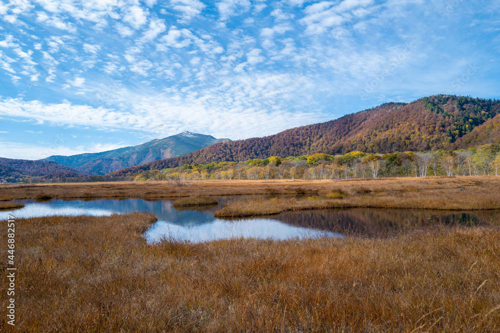 尾瀬ヶ原湿原の紅葉の風景 燧ヶ岳 至仏山 Scenery of autumn leaves in Ozegahara marshland Mt.Hiuchigadake Mt.Shibutsusan