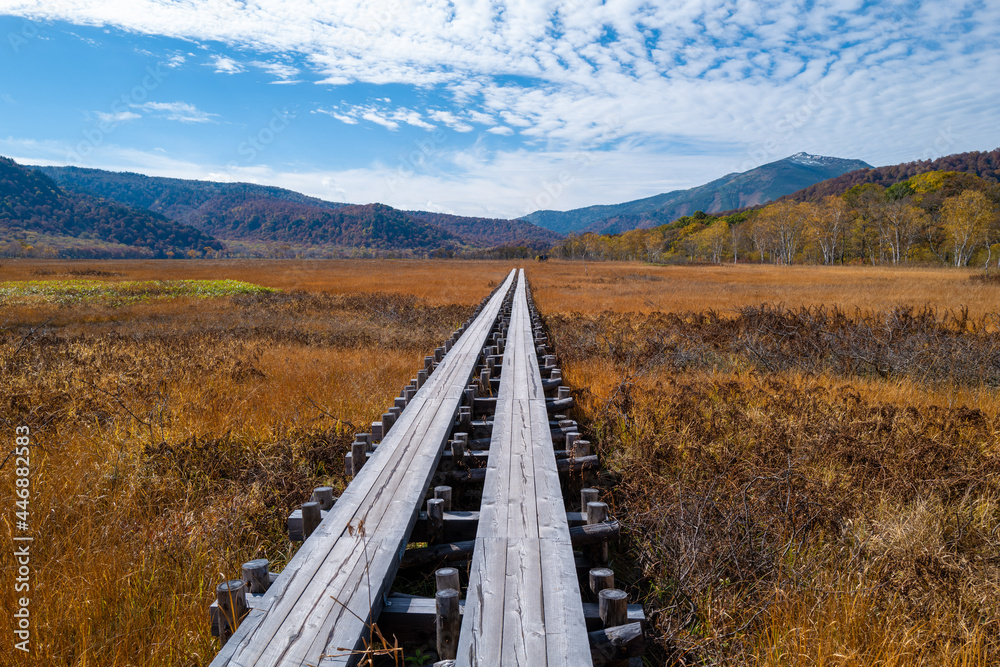 尾瀬ヶ原湿原の紅葉の風景 燧ヶ岳 至仏山 Scenery of autumn leaves in Ozegahara marshland Mt.Hiuchigadake Mt.Shibutsusan 尾瀬ヶ原湿原の紅葉の風景 燧ヶ岳 至仏山 Scenery of autumn leaves in Ozegahara marshland Mt.Hiuchigadake Mt.Shibutsusan