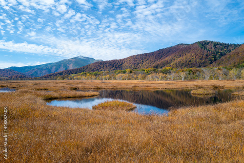 尾瀬ヶ原湿原の紅葉の風景 燧ヶ岳 至仏山 Scenery of autumn leaves in Ozegahara marshland Mt.Hiuchigadake Mt.Shibutsusan © Hello UG