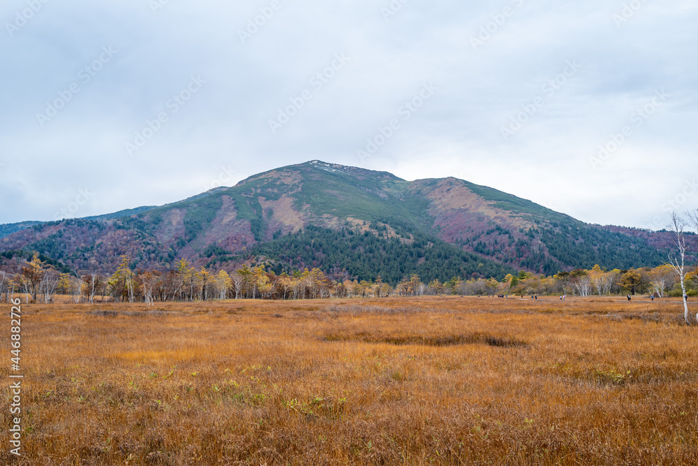 尾瀬ヶ原湿原の紅葉の風景 燧ヶ岳 至仏山 Scenery of autumn leaves in Ozegahara marshland Mt.Hiuchigadake Mt.Shibutsusan