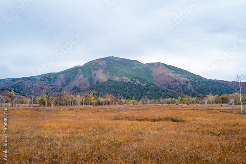 尾瀬ヶ原湿原の紅葉の風景 燧ヶ岳 至仏山 Scenery of autumn leaves in Ozegahara marshland Mt.Hiuchigadake Mt.Shibutsusan