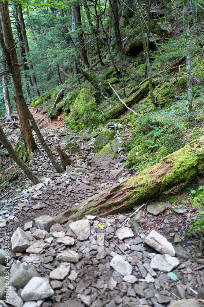 夏の瑞牆山の登山道の風景 A view of the trail in summer at Mt.Mizugakiyama. 夏の瑞牆山の登山道の風景 A view of the trail in summer at Mt.Mizugakiyama.