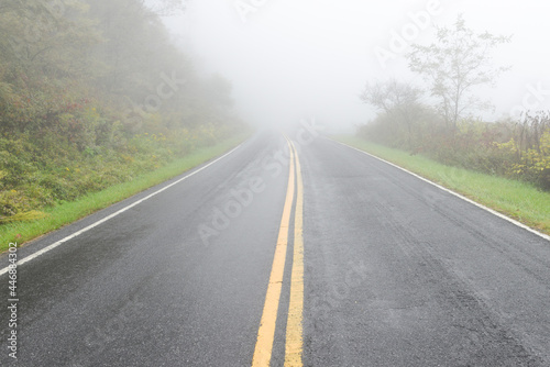 the road into Shenandoah National Park in the fog