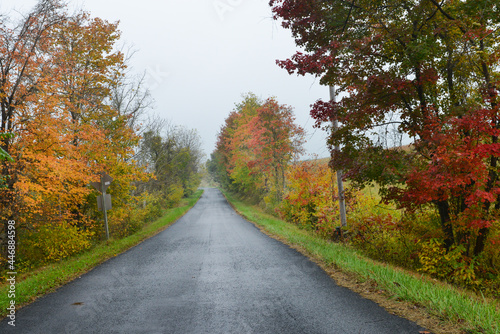 Autumn foliage in Shenandoah National Park - Virginia, United States