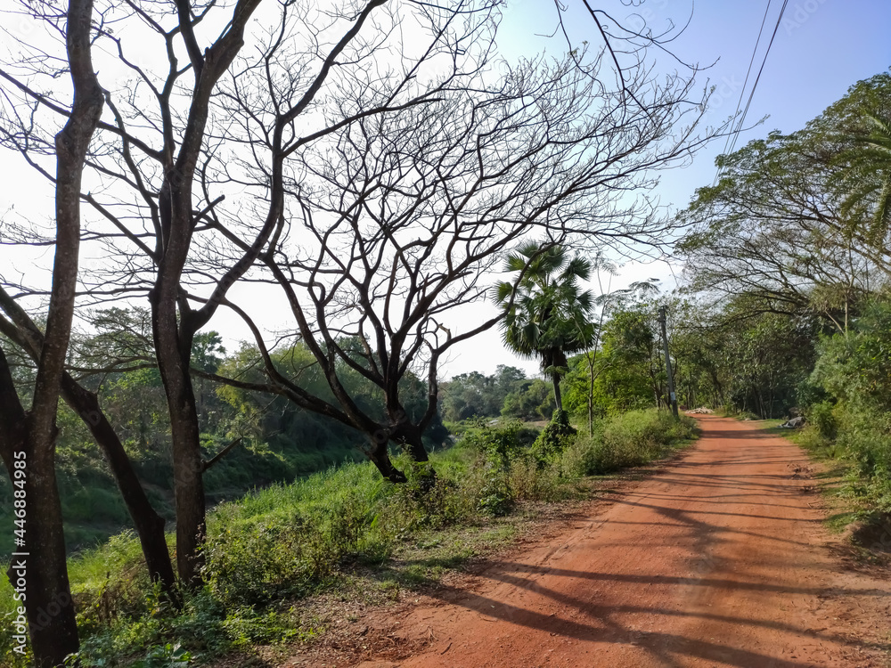A red dirt road and a narrow river flow by, rural nature seances in the morning in India. A red dirt road and a narrow river flow by, rural nature seances in the morning in India.