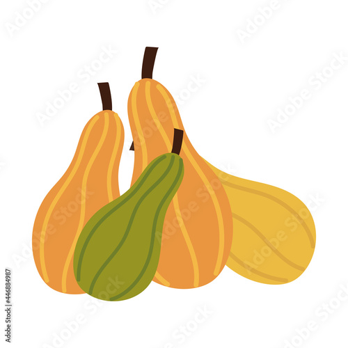 zucchini fresh vegetables