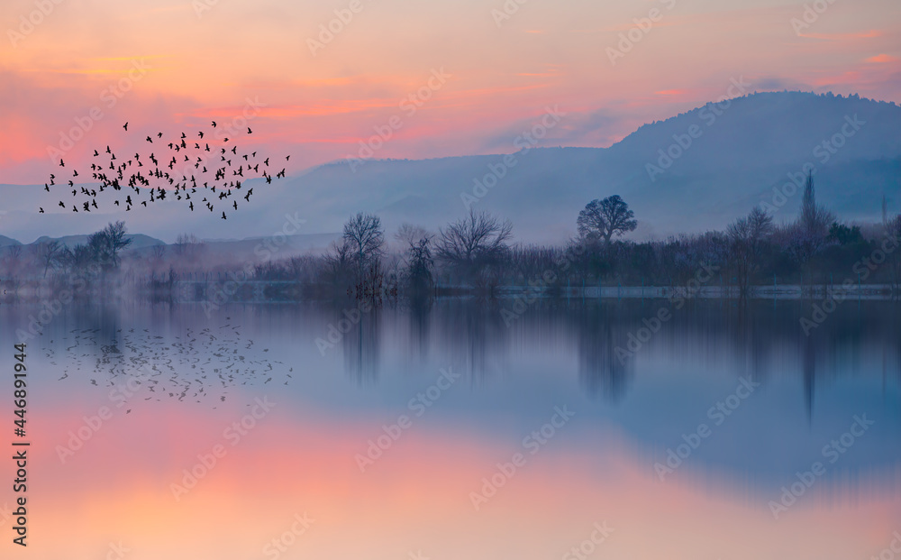 Silhouette of birds flying above the lake with misty morning at amazing sunset