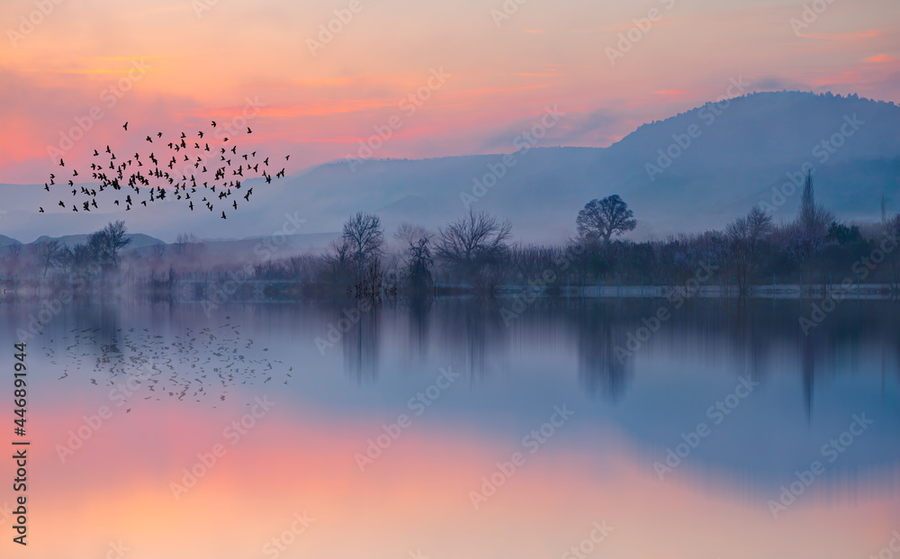 Fototapeta premium Silhouette of birds flying above the lake with misty morning at amazing sunset