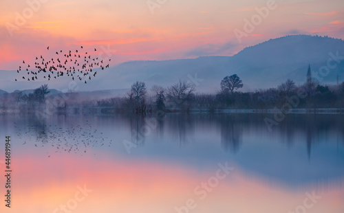 Silhouette of birds flying above the lake with misty morning at amazing sunset © muratart