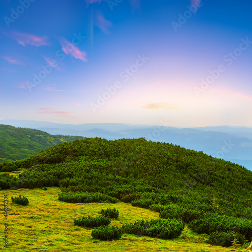 green mountain valley covered by bush at the early morning