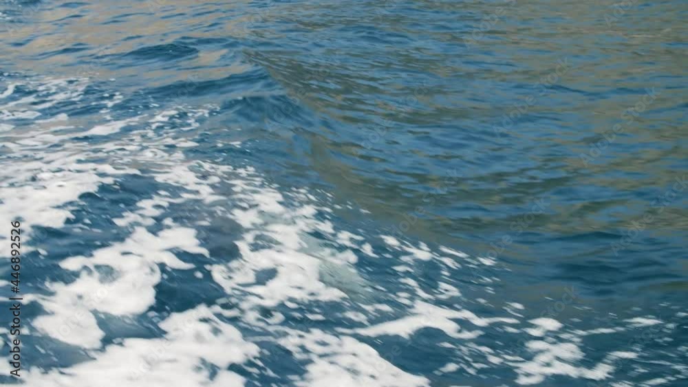 Tracking action shot of a dolphin breaching the ocean waves as it chases a boat. The Indo Pacific humpback dolphin plays in the blue water on a bright and sunny day in Oman Tracking action shot of a dolphin breaching the ocean waves as it chases a boat. The Indo Pacific humpback dolphin plays in the blue water on a bright and sunny day in Oman