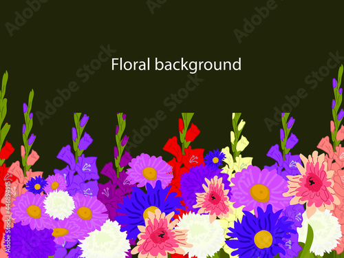Floral background on a black background. asters, gladioli, autumn flowers for a postcard, banner, poster. Colored flat illustration.