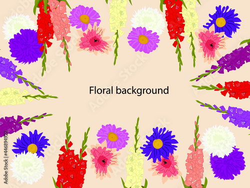 Floral background on a white background. Asters, gladioli, autumn flowers for a postcard, banner, poster. Colored flat illustrations. Colored flat illustrations.