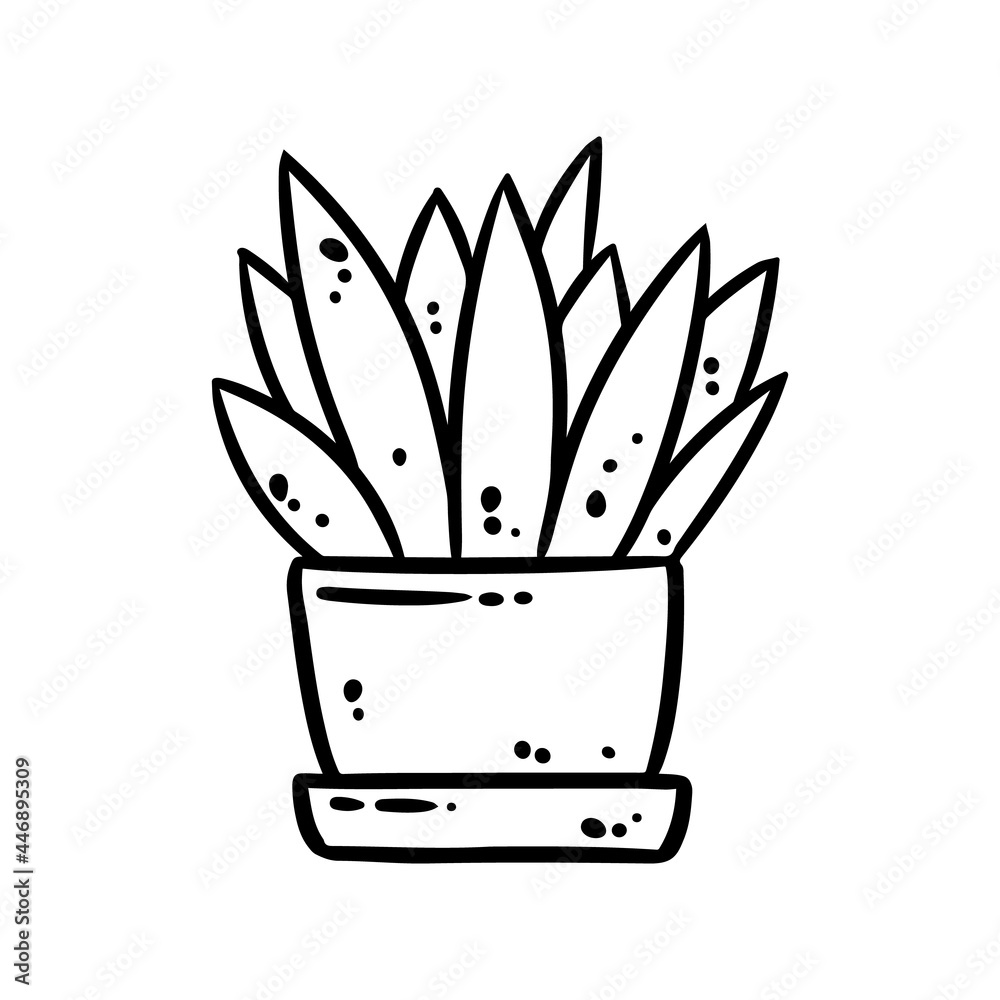 Succulent plant cute doodle image. Aloe hygge mood logo. Media highlights graphic symbol Succulent plant cute doodle image. Aloe hygge mood logo. Media highlights graphic symbol