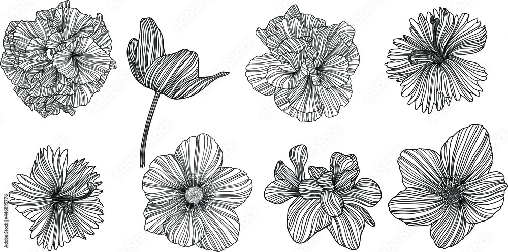 Illustration of abstact flowers. Line vector art. Eps10 Illustration of abstact flowers. Line vector art. Eps10