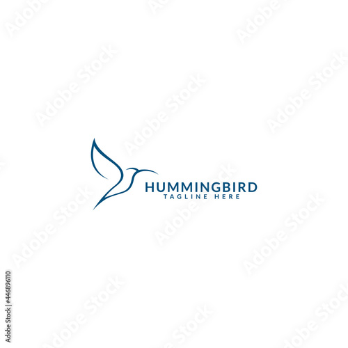 hummingbird logo design. logo template photo