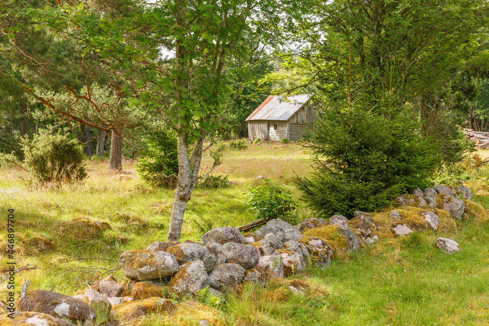 Old overgrown rural meadow with a barn Old overgrown rural meadow with a barn