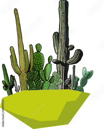 cactus