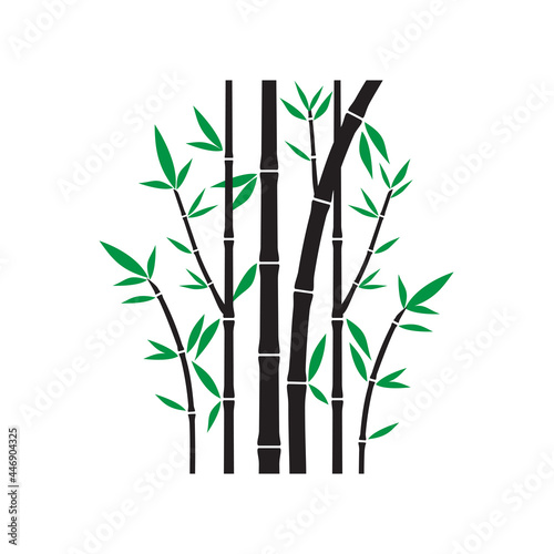 Bamboo plant  ink painting over white background  Vector illustration 