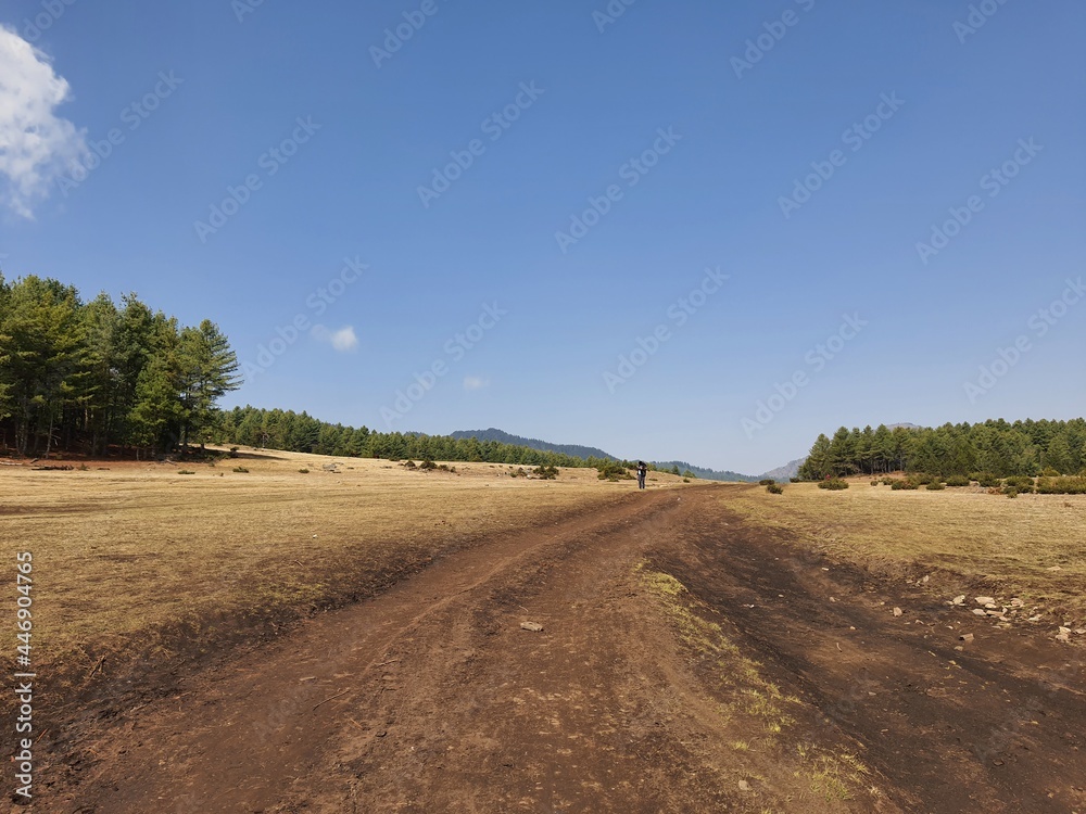 Naklejka premium Nature