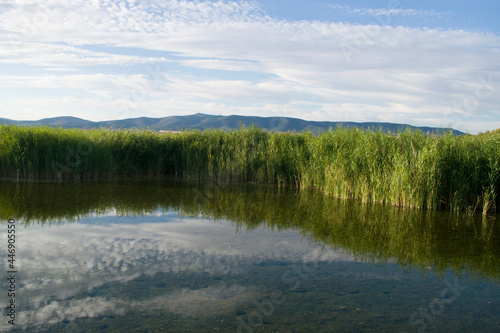 Fototapeta Naklejka Na Ścianę i Meble -  Paisaje de laguna con reflejos en verano.	